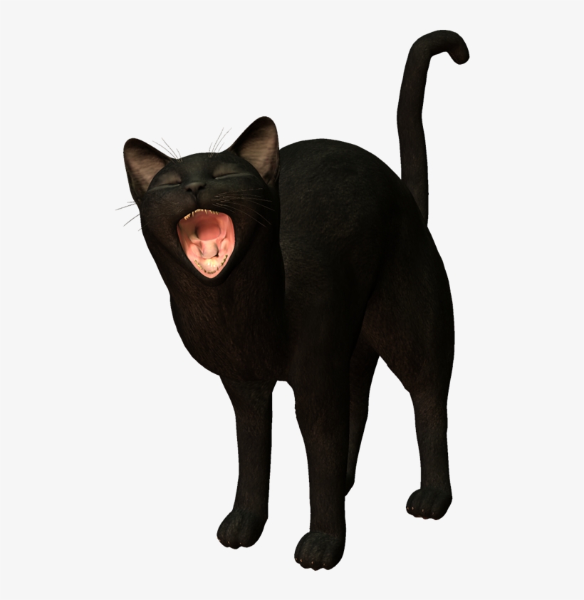 Blog De Gifs Y Imágenes - Black Cat, transparent png download