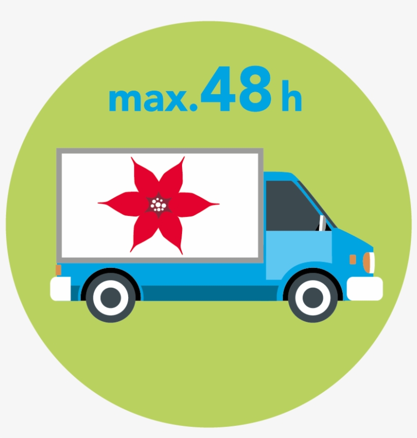 Colour - Png - City Car, transparent png download