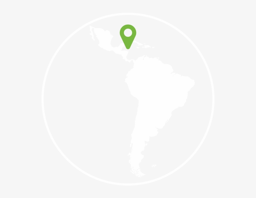 Social Innovation In Health Initiative - Latin America Icon Png, transparent png download