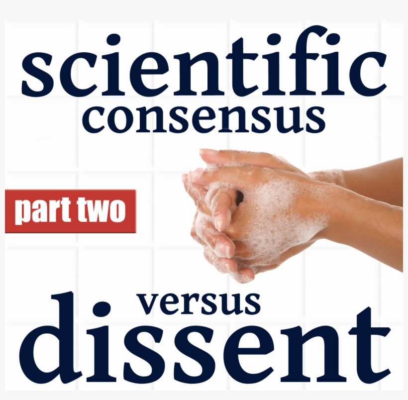 This Show Continues A Series That Will Examine The - Robert Bosch Stiftung, transparent png download