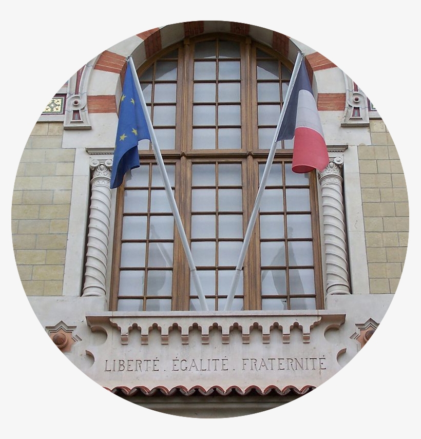 Playing Cat & - Sail, transparent png download