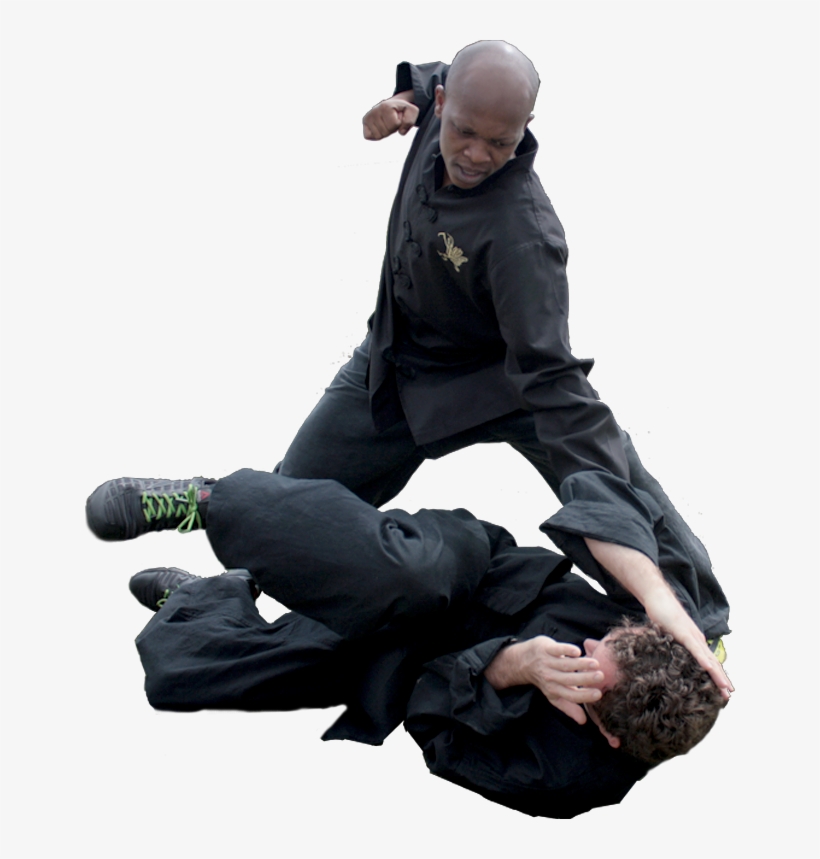 Shyun Eight Step Preying Mantis Kung Fu Is One Of The - Kung Fu, transparent png download