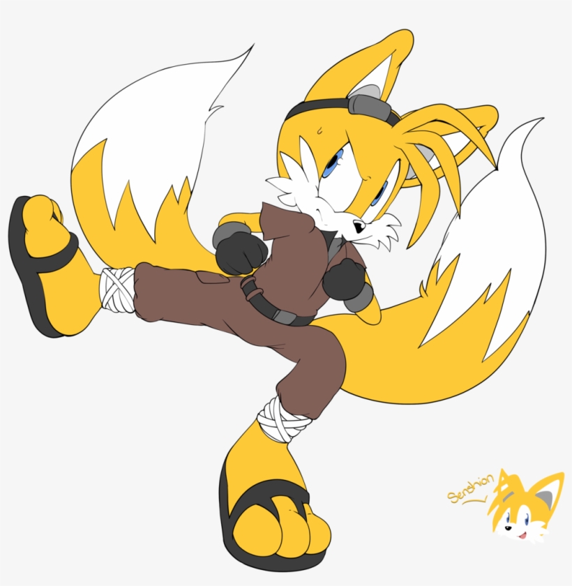 Kung Fu Tails By Senshionart Kung Fu Tails By Senshionart - Kung Fu Tails, transparent png download