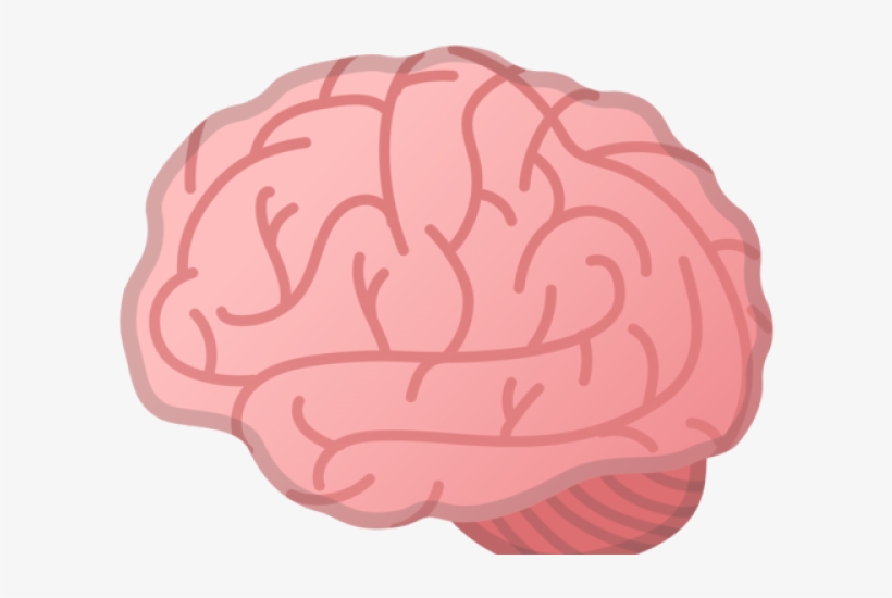 Brain Clipart Cerebro - Cerebro Emoji, transparent png download