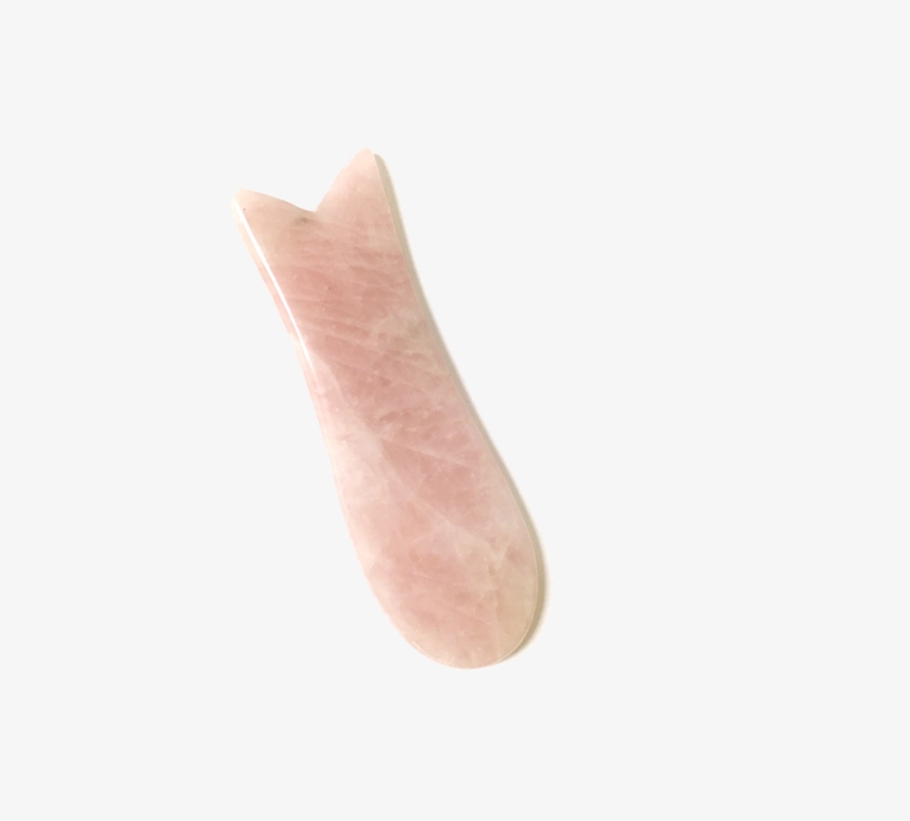 Rose Quartz Gua Sha Fish Shape - Cervelat, transparent png download