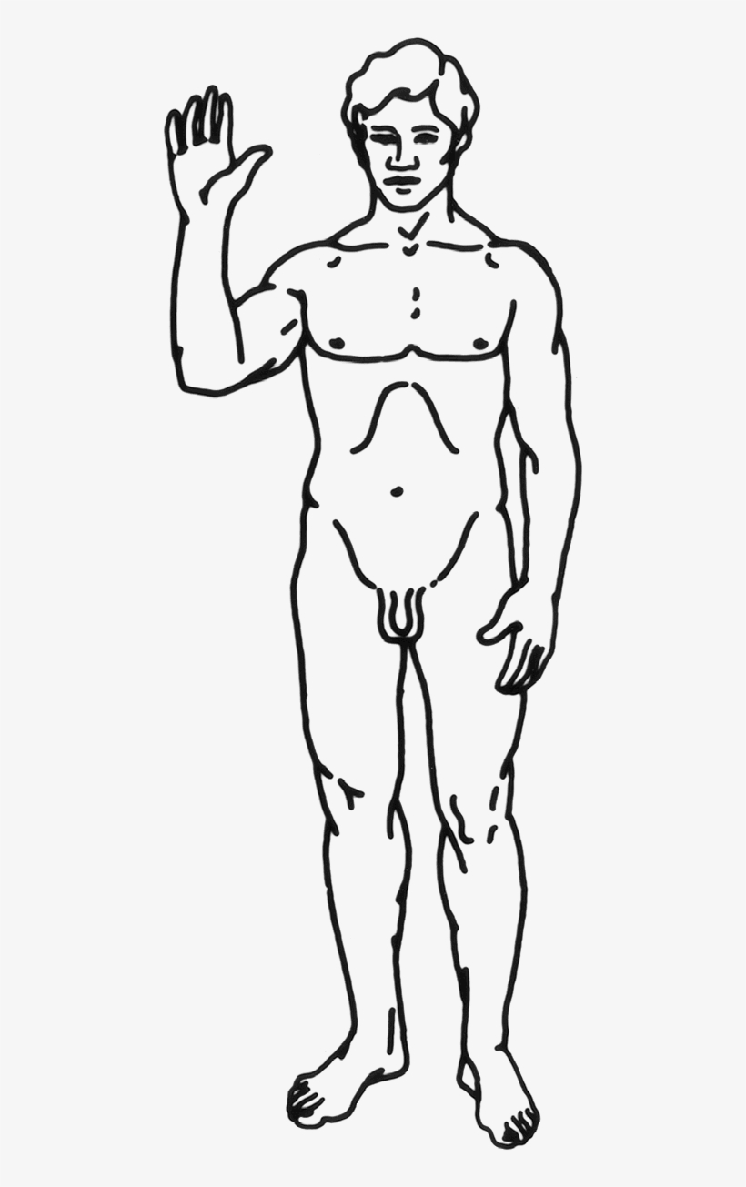 Datoteka - Human-man - Hydrostatic Pressure When Standing, transparent png download
