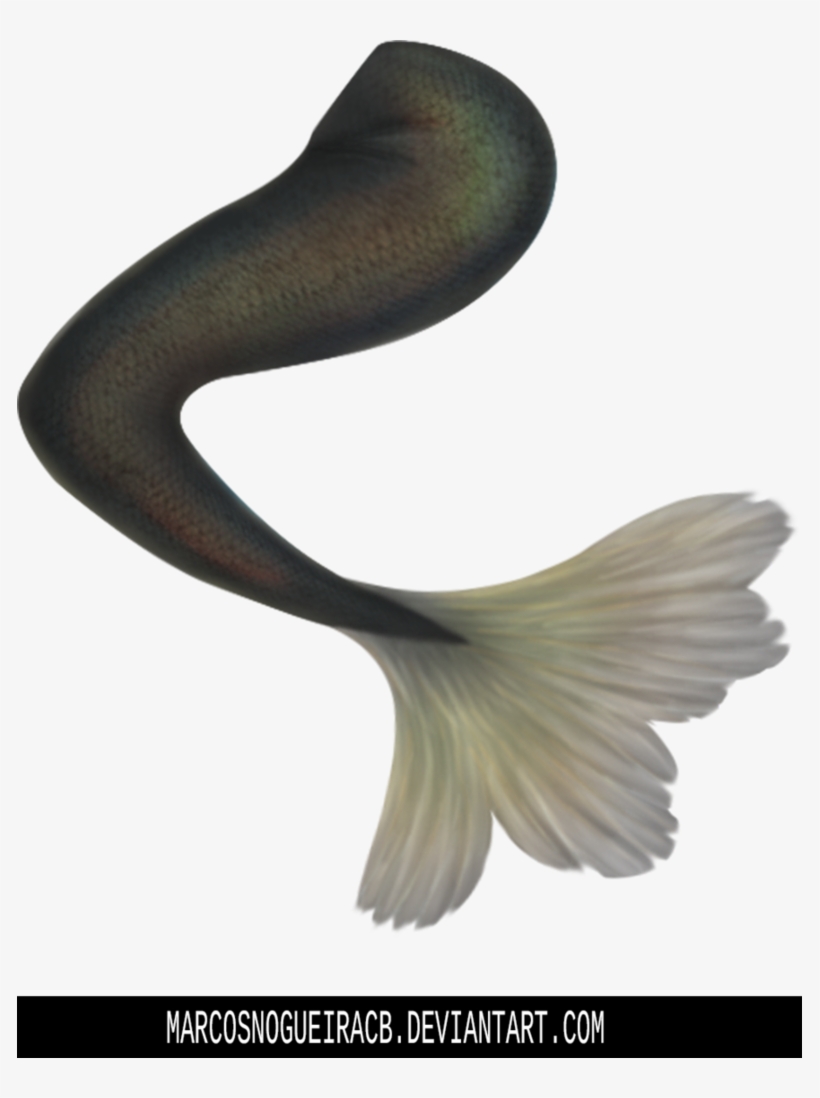 Stock By Marcosnogueiracb - Mermaid, transparent png download