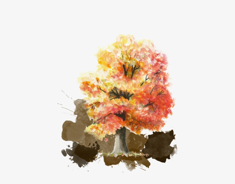 Innsport Proper - Autumn Tree Watercolor Painting, transparent png download