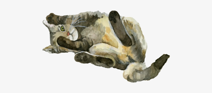 “ Made Transparent By The Transparent Galaxy ” - Tabby Cat Watercolor, transparent png download