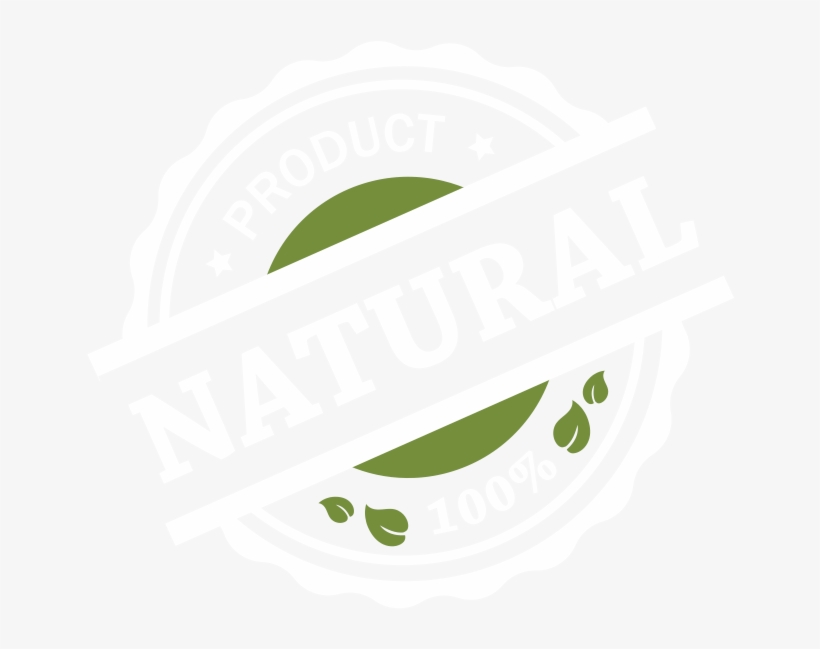 Sunlight, transparent png download