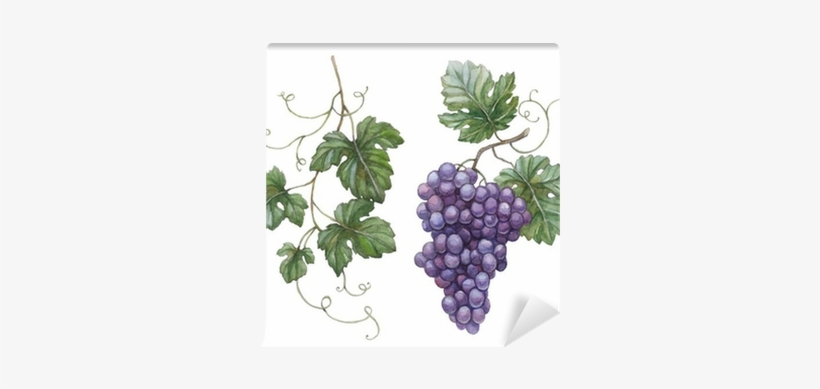 Watercolor Illustration Of Grapes With Leaves Wall - Illustration With Grapes And Leaves, transparent png download