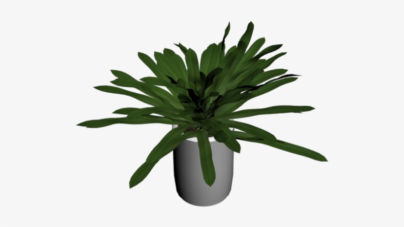 Houseplant, transparent png download