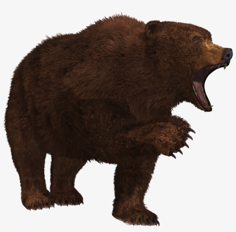 Bear Png - Bear Stock Png, transparent png download