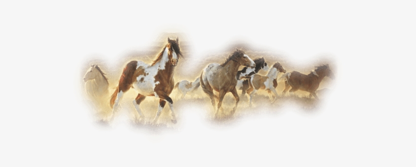 Westernbeddingdecor - Horse Mountains Painting, transparent png download