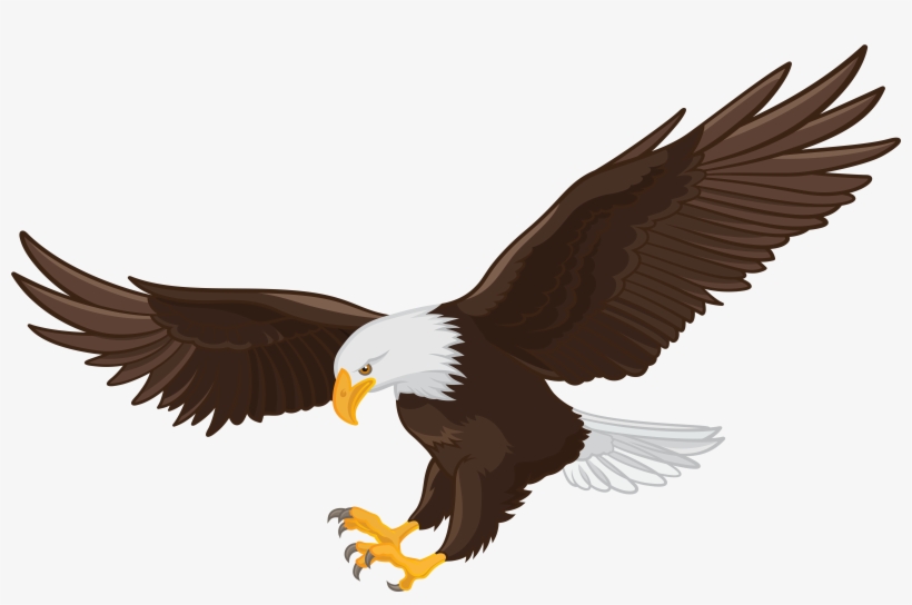 Eagle Clipart, transparent png download