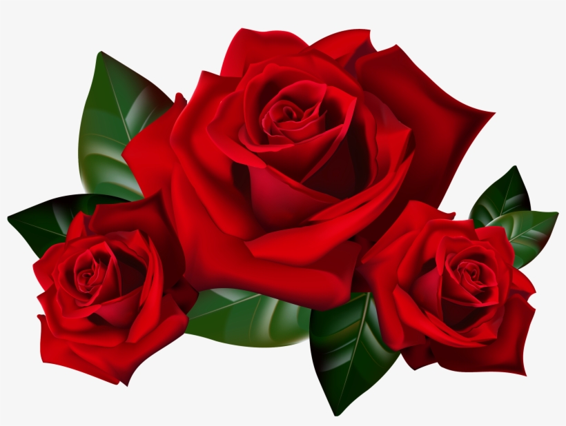 Red Rose Png Transparent Image - Red Roses Clipart, transparent png download