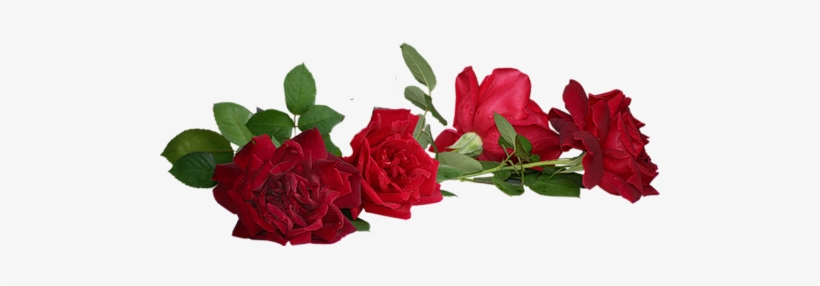 Imagenes De Flores Png - Clip Art, transparent png download