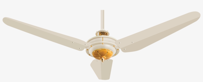 Fan Png - Model, transparent png download