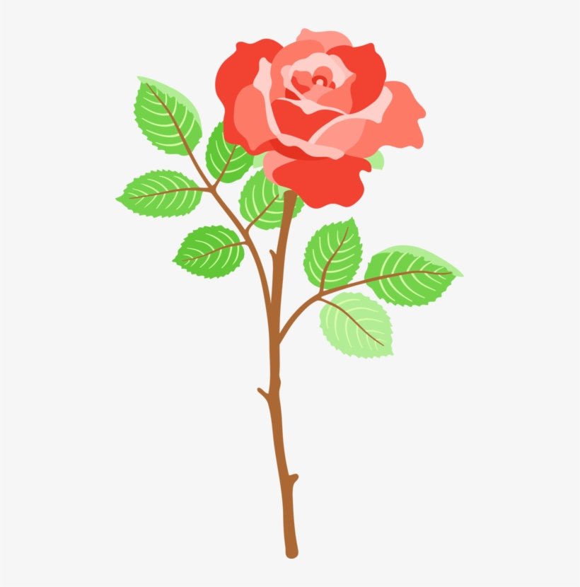 Garden Roses Whatsapp Theme Cabbage Rose - Whatsapp Rose, transparent png download