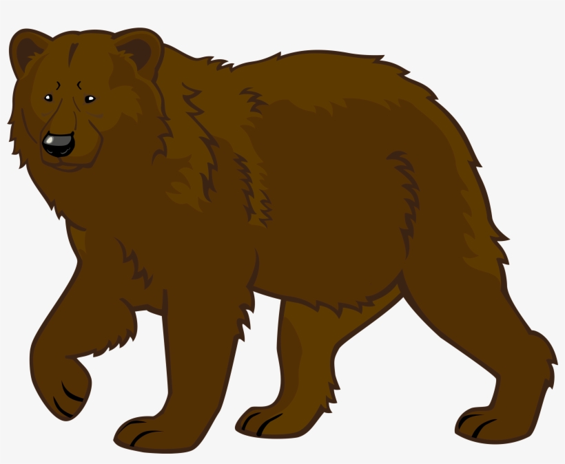 Brown Bear Png Clipart - Bear Clipart, transparent png download