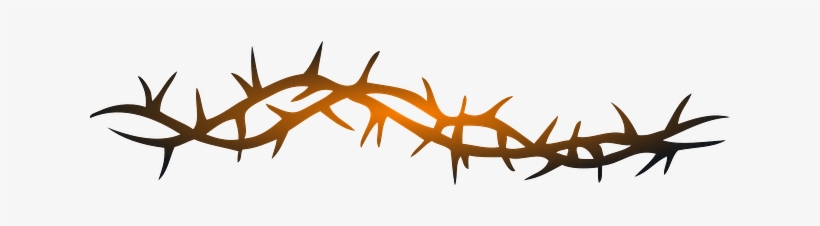 Barbed Wire Pixabay - Arame Farpado Png, transparent png download