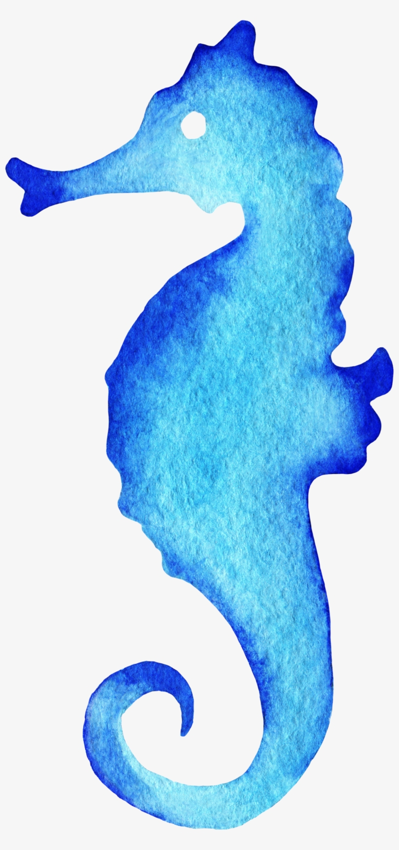 Seahorse Watercolor Painting Drawing - Caballito De Mar Dibujo, transparent png download
