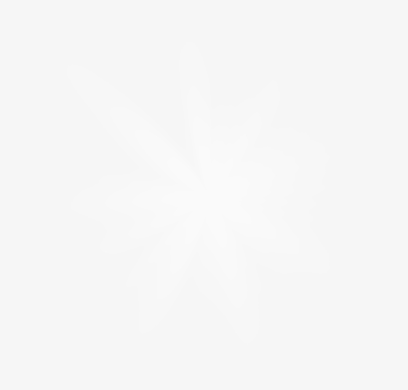 Twitter White Icon Png, transparent png download