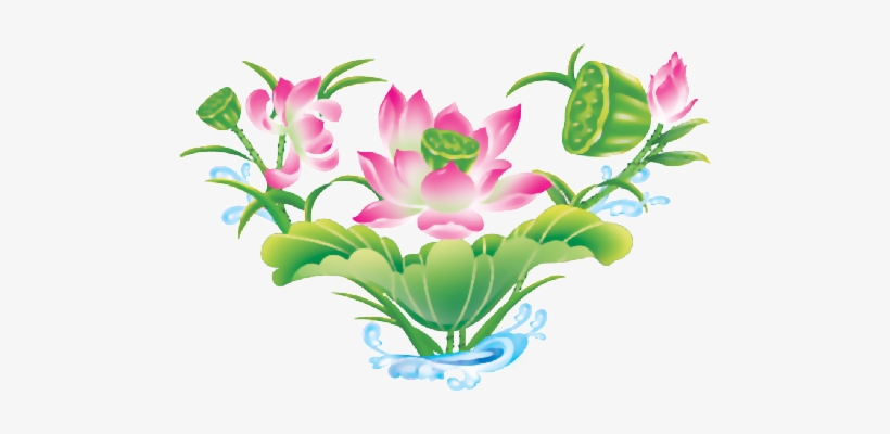 Flores - Sacred Lotus, transparent png download