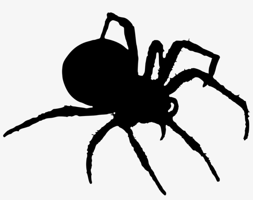Spider, Silhouette, Halloween, Insects, Royalty Free - Spider Silhouette Png, transparent png download