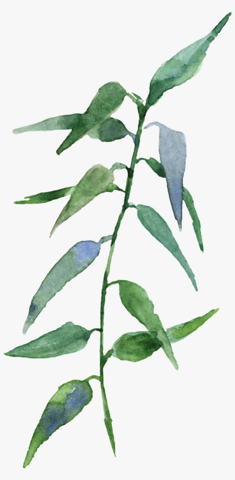 H Background Pinterest - Watercolor Painting, transparent png download