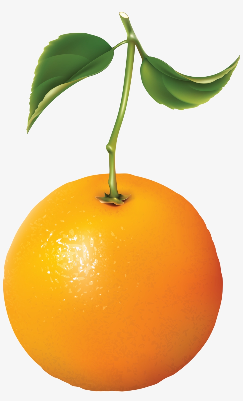 Orange Fruit Leaf Png, transparent png download