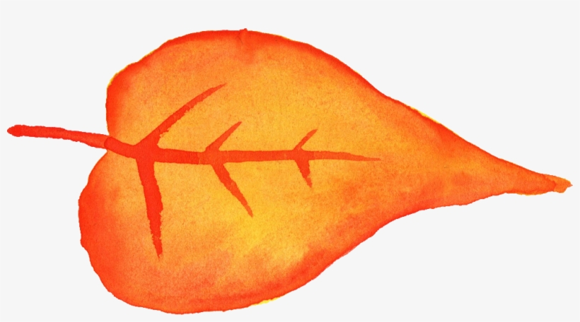 Free Download - Invertebrate, transparent png download