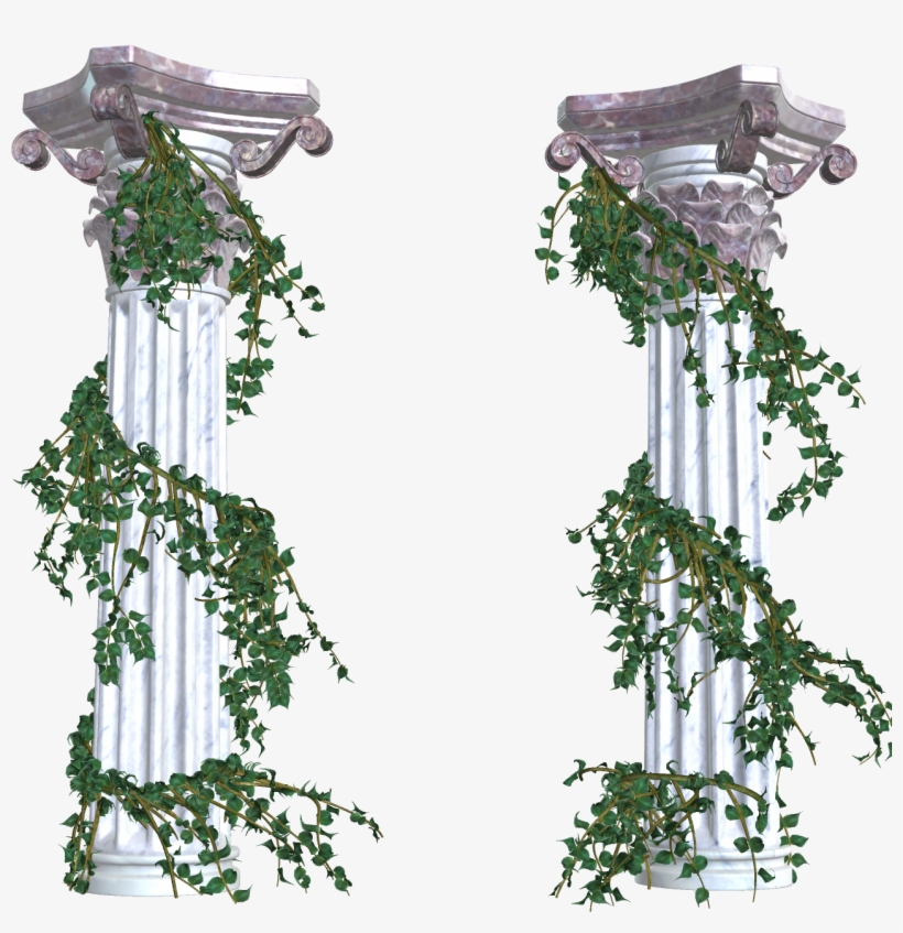 Vines Transparent, transparent png download