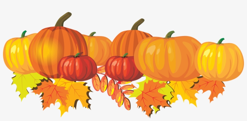 Thanksgiving Pumpkin Png Photos - Fall Clip Art, transparent png download