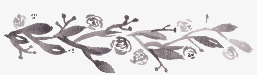 Vine, transparent png download