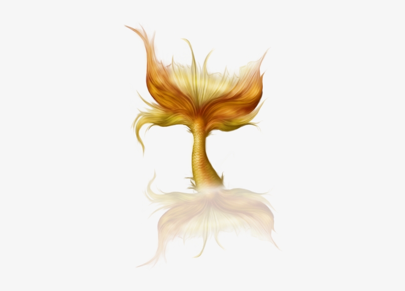 Mermaid, transparent png download