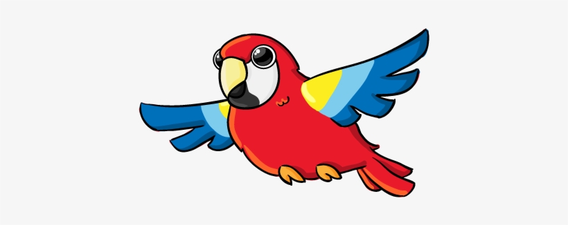 Cute Parrot Png Clipart - Bird Gross Motor Activities, transparent png download
