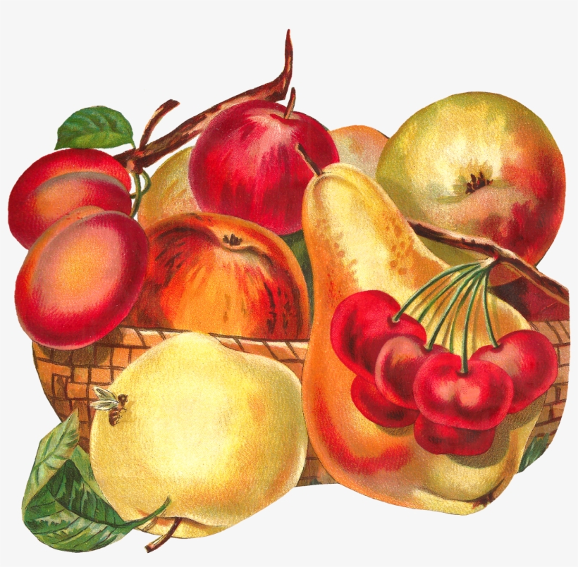 Fruit Basket Image Apple Pear Plum Clipart Artwork - Mcintosh, transparent png download