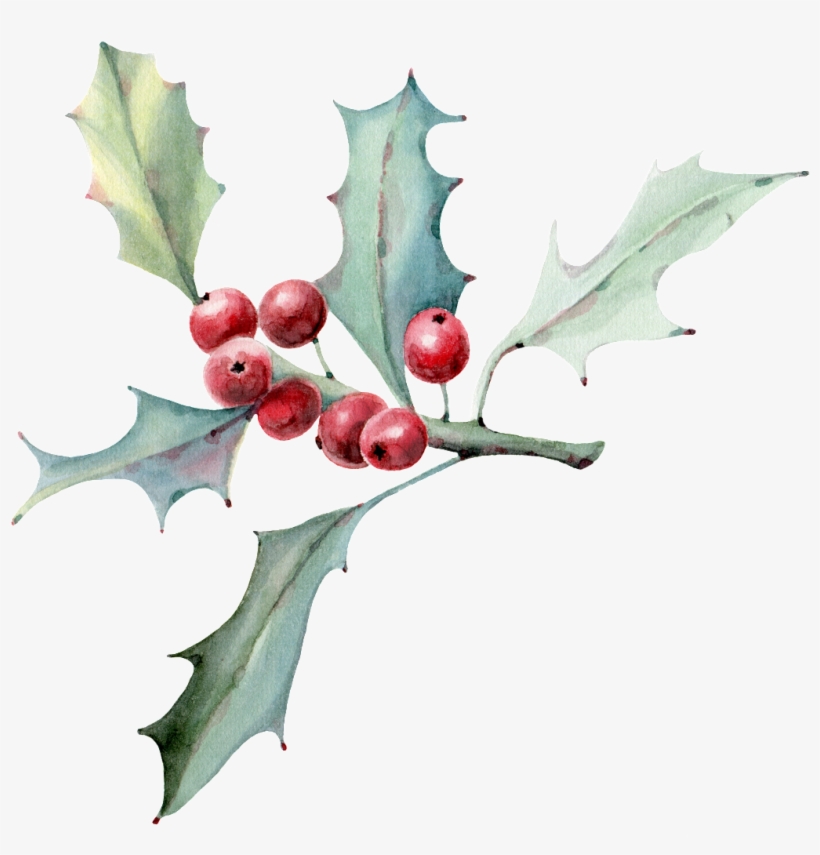 Hand Drawn Leaves And Fruits - Illustration, transparent png download