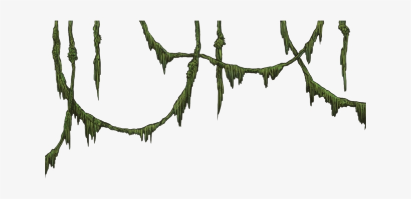 Vines Png - Jungle Png, transparent png download