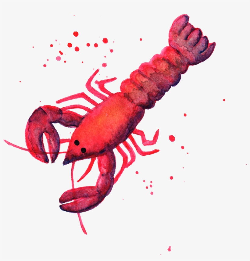 Lobster Dolphin By Chrystal Elizabeth - Lobster Png, transparent png download