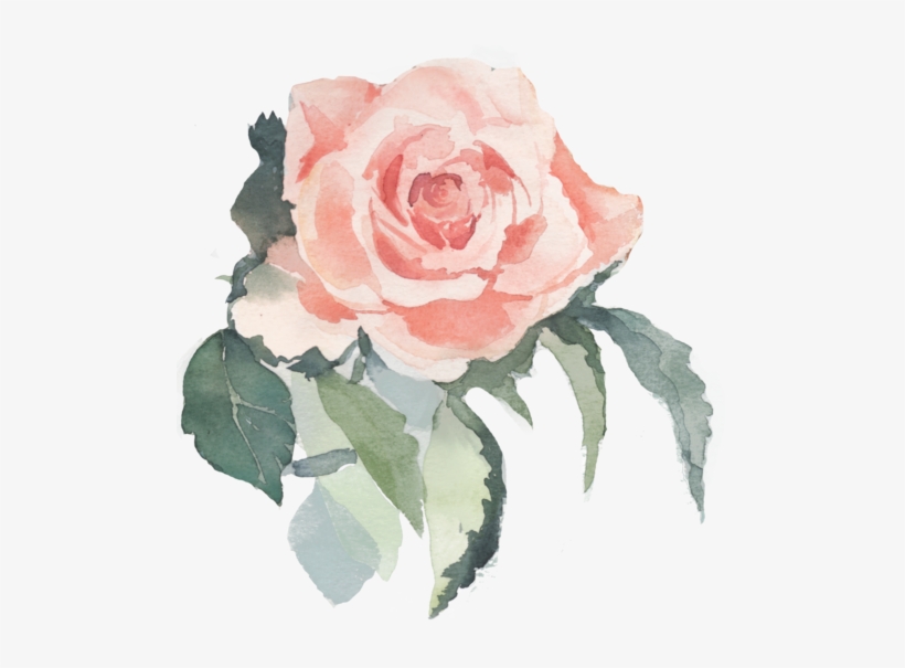 Wedding Photographer In Greece - Peach Coral Floral Garden, 24-pack Round Circle Gift, transparent png download