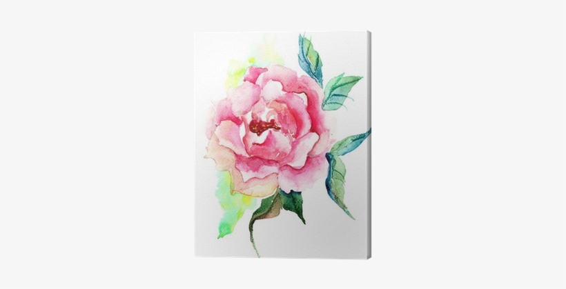 Beautiful Roses Flowers, Watercolor Painting Canvas - Watercolor Painting, transparent png download