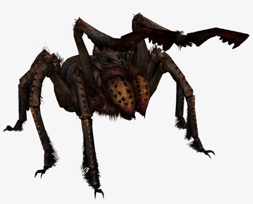 Cartoon Images Of Spiders - Skyrim Spider, transparent png download
