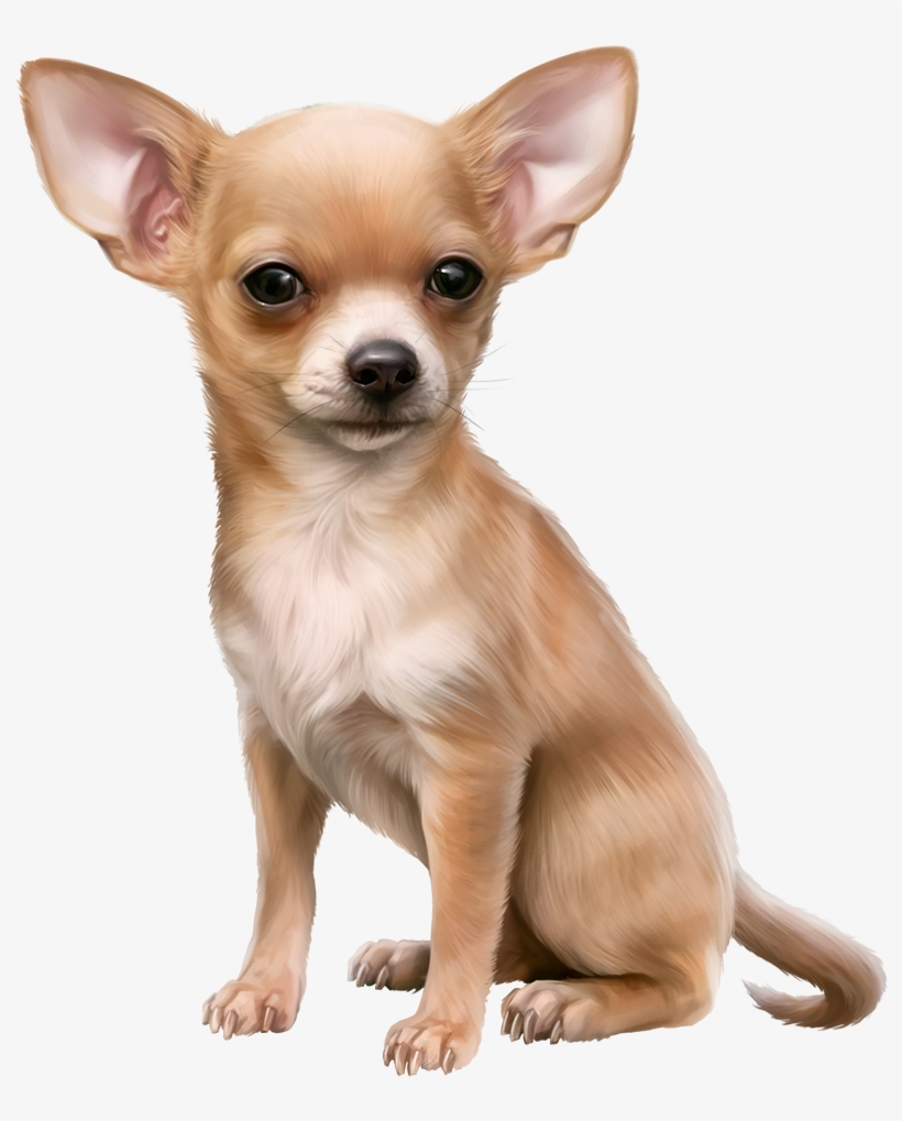 Pin By ~girly❤️girl~ On Dog 3d Tubes 1 ➡ - Chihuahua Clip Art, transparent png download