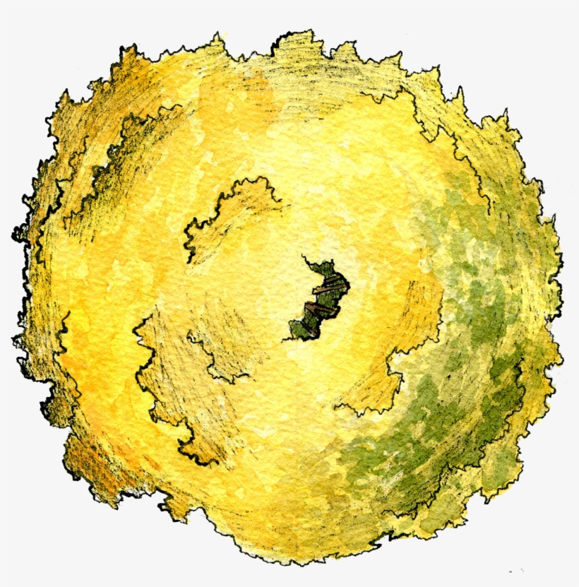 Free Free Shrub Png Plan View Watercolor Painting Png Image Transparent Png Free Download On Seekpng