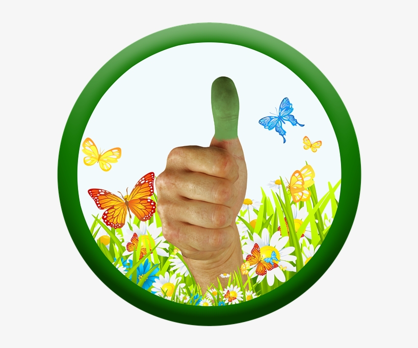 Thumb, Green Thumb, Thumbs Up, Nature, Care, Positive - Green Thumb, transparent png download
