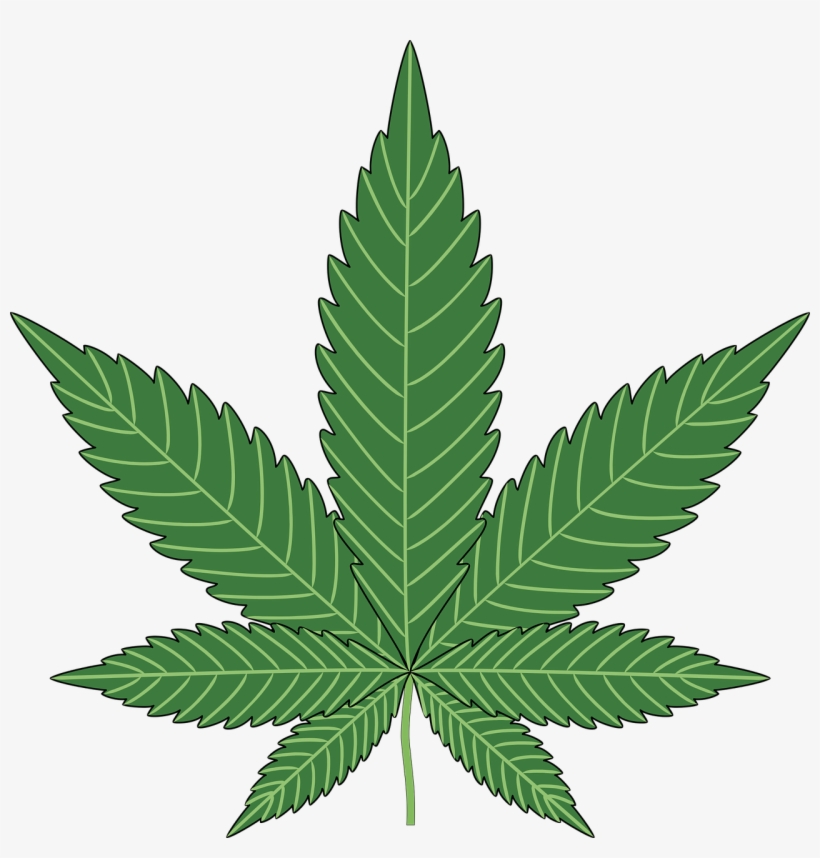 Real Weed Leaf Png - Marijuana Clipart Transparent, transparent png download