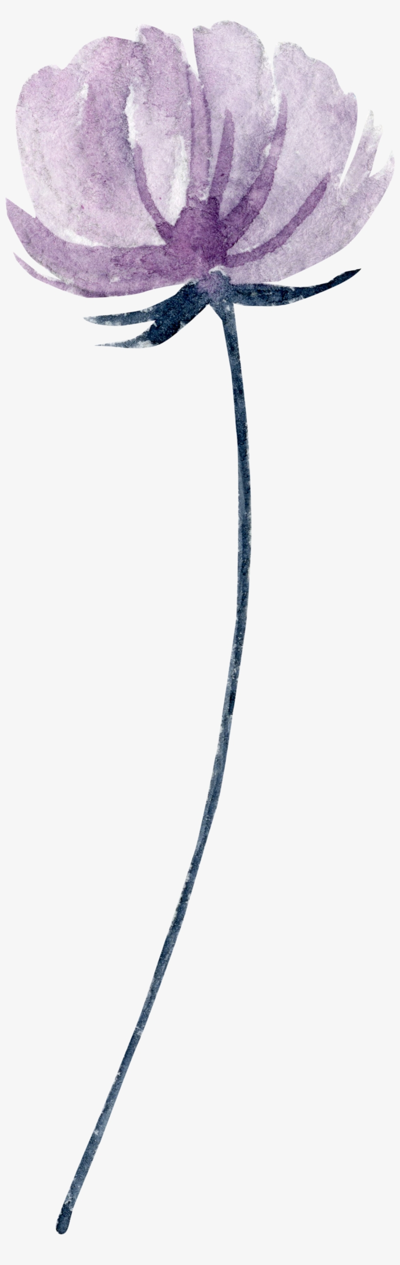 Flr - Cable, transparent png download