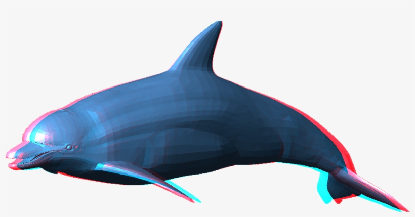 Dolphin Png Pic - Dolphin Png, transparent png download